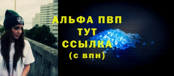винт Алексин