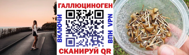 Псилоцибиновые грибы мухоморы  Осинники 