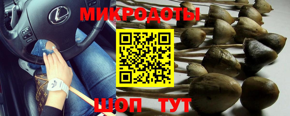 купить наркотик  Вход с VPN  Галлюциногенные грибы GOLDEN TEACHER  Осинники  Галлюциногенные грибы мухоморы 